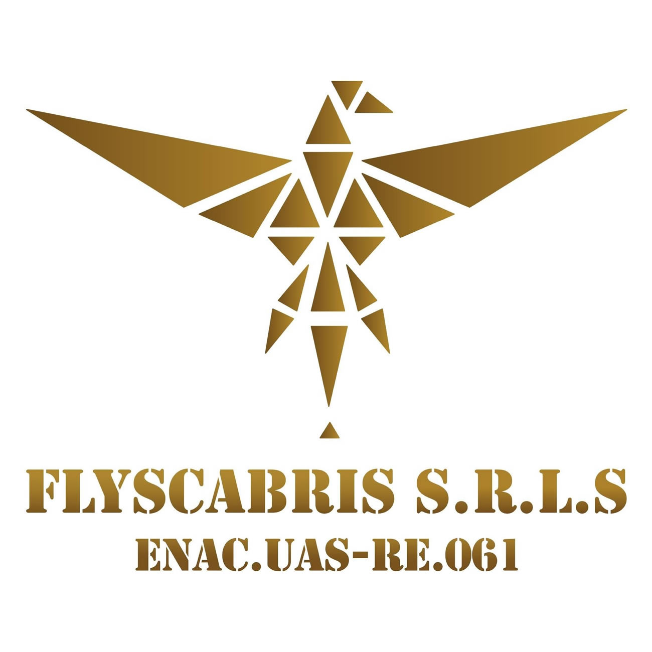 flyscabris-logo