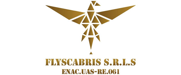 flyscabris